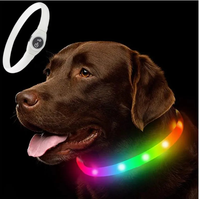 GlowWalk™ Rechargeable LED Dog Collar