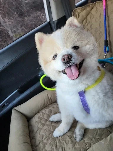 TravelComfy™ Waterproof Dog Car Bed