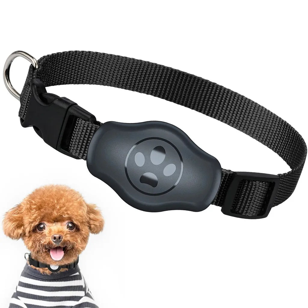 TrackSafe™ Waterproof Reflective Dog Collar with AirTag Holder