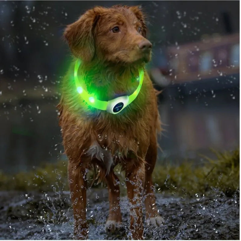 GlowWalk™ Rechargeable LED Dog Collar