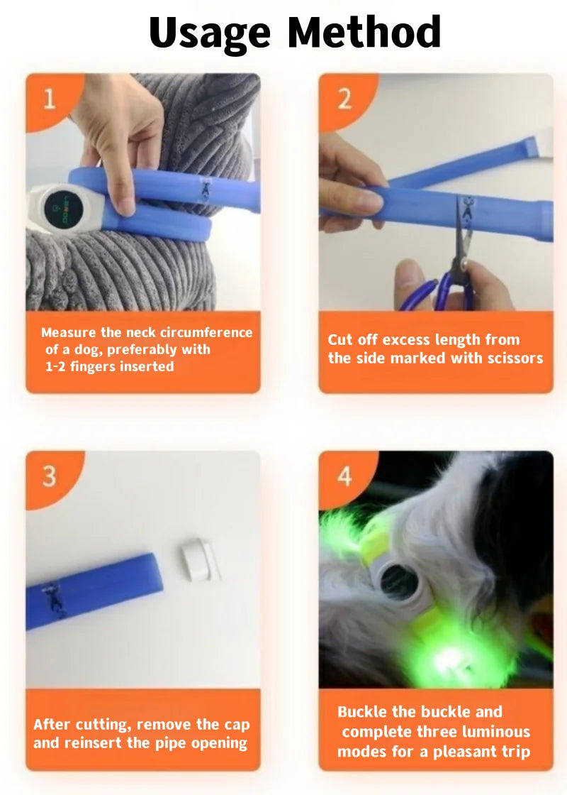 GlowWalk™ Rechargeable LED Dog Collar