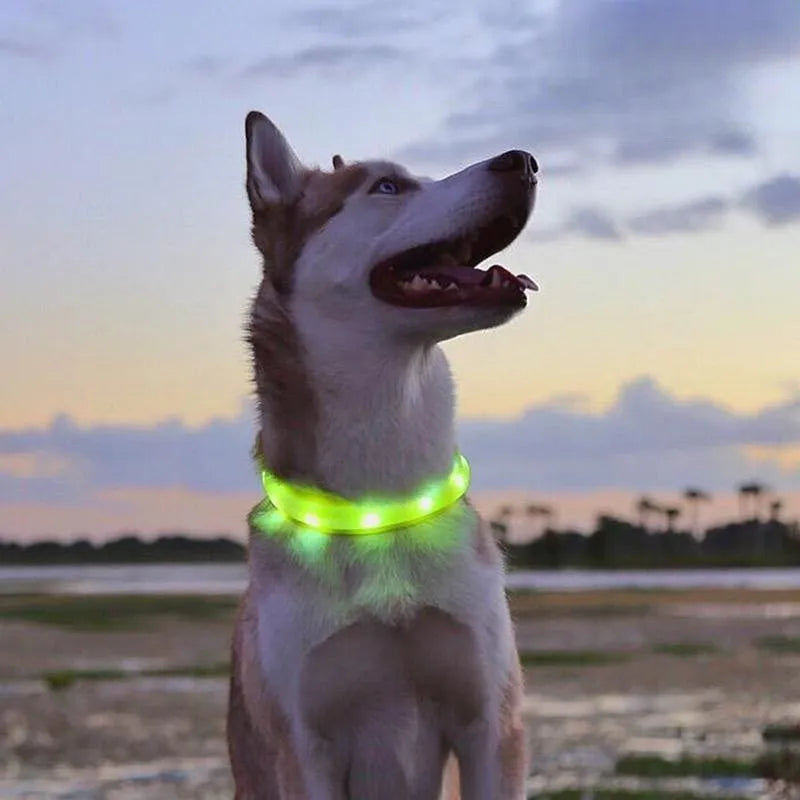 GlowWalk™ Rechargeable LED Dog Collar
