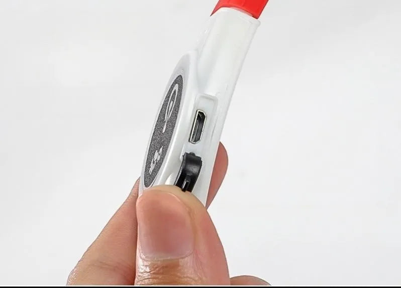 GlowWalk™ Rechargeable LED Dog Collar