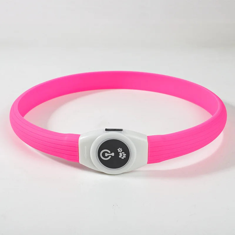 GlowWalk™ Rechargeable LED Dog Collar