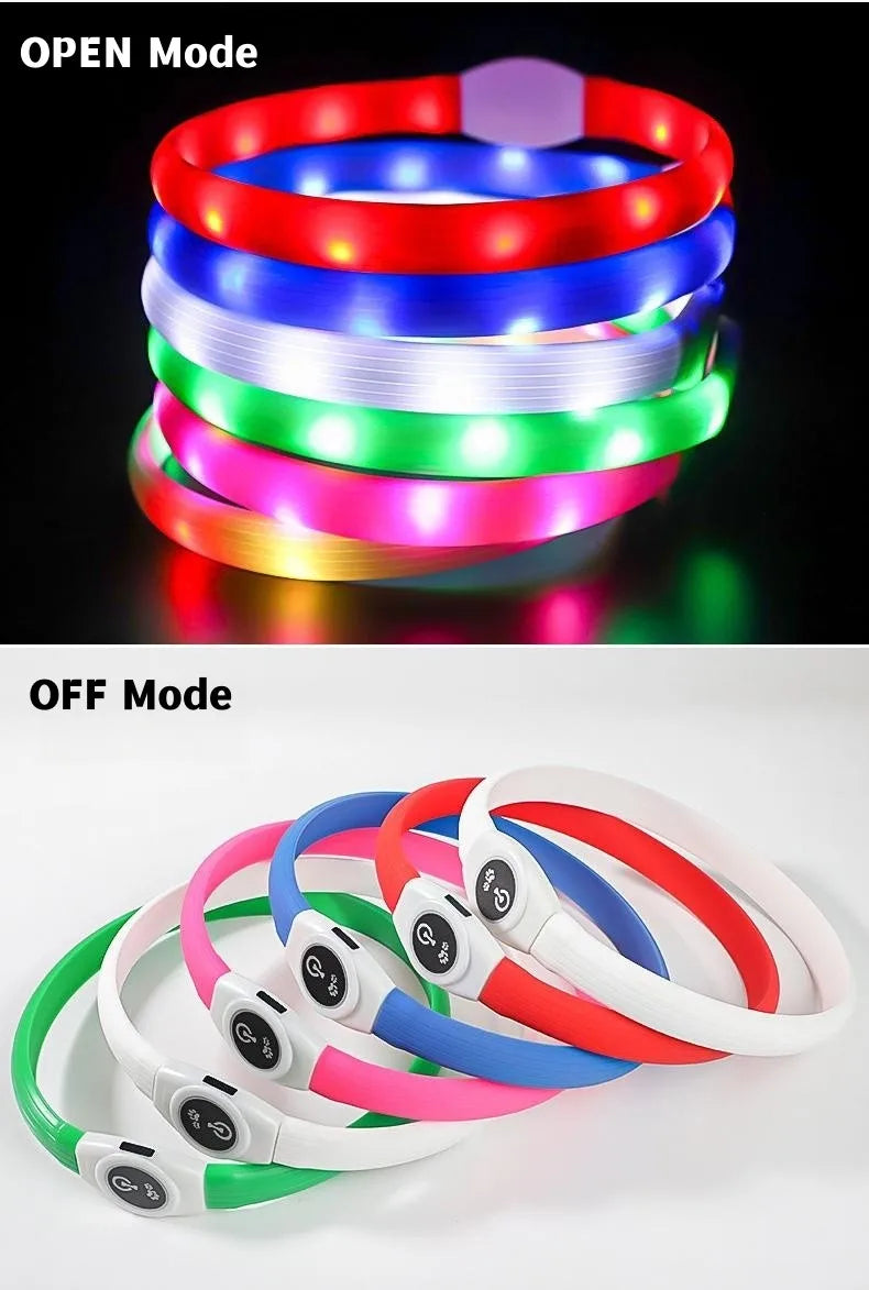 GlowWalk™ Rechargeable LED Dog Collar