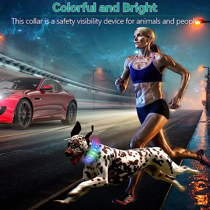 GlowWalk™ Rechargeable LED Dog Collar