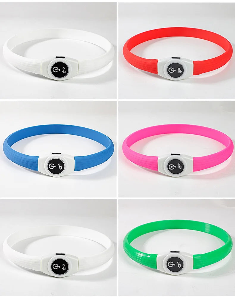 GlowWalk™ Rechargeable LED Dog Collar