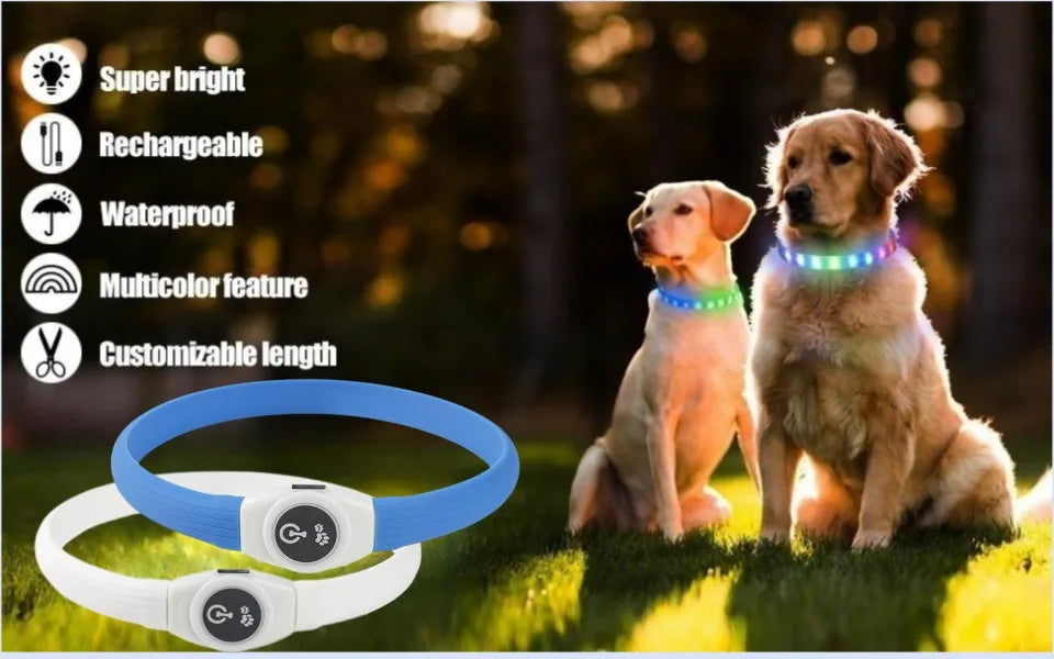 GlowWalk™ Rechargeable LED Dog Collar