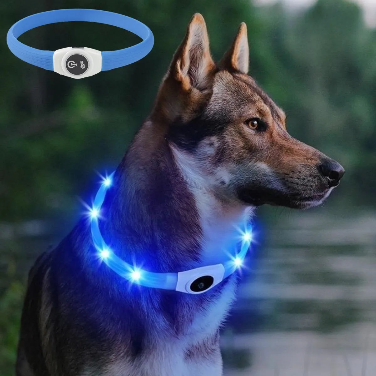 GlowWalk™ Rechargeable LED Dog Collar