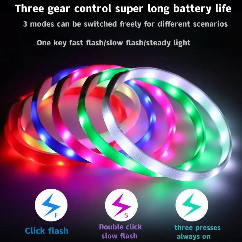 GlowWalk™ Rechargeable LED Dog Collar