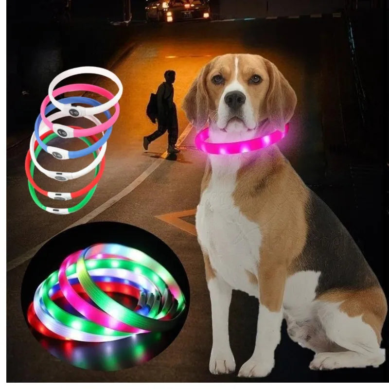 GlowWalk™ Rechargeable LED Dog Collar