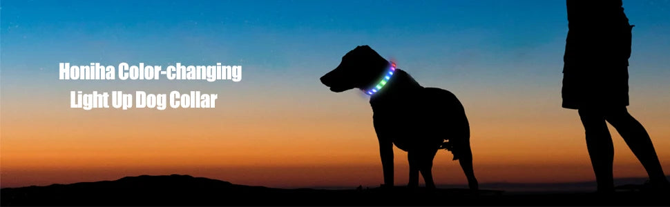GlowWalk™ Rechargeable LED Dog Collar