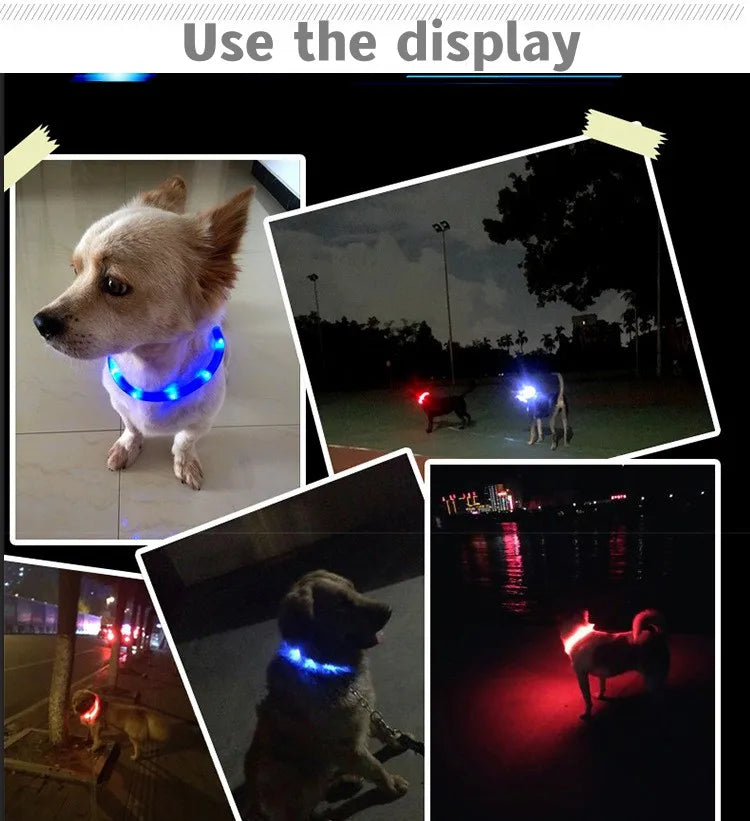 GlowWalk™ Rechargeable LED Dog Collar