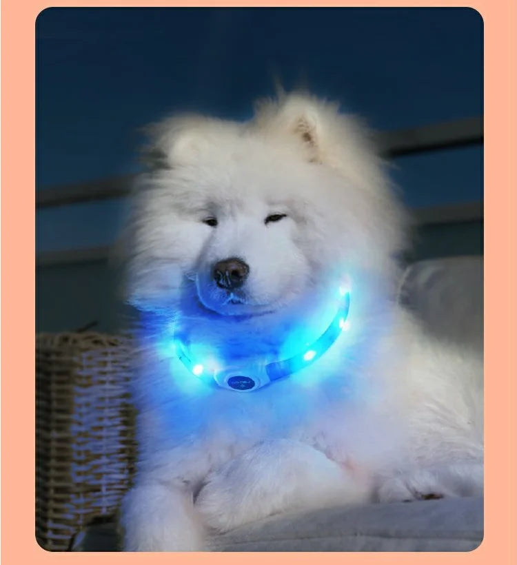 GlowWalk™ Rechargeable LED Dog Collar