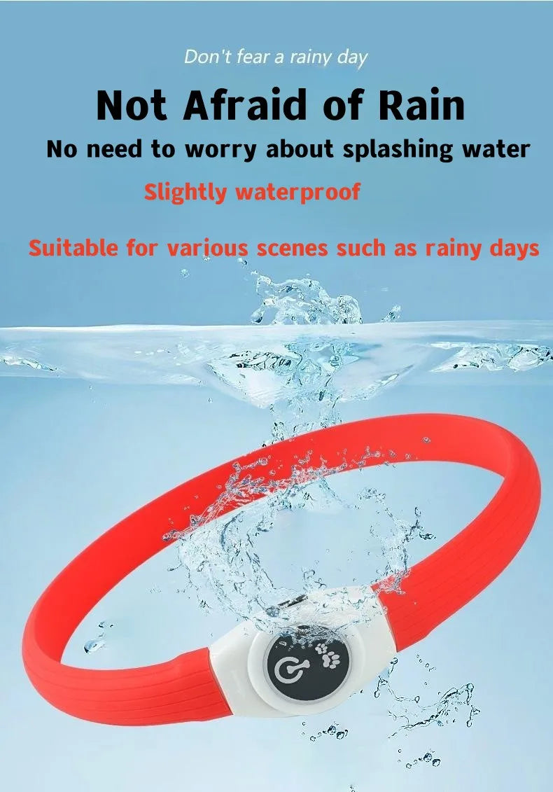 GlowWalk™ Rechargeable LED Dog Collar