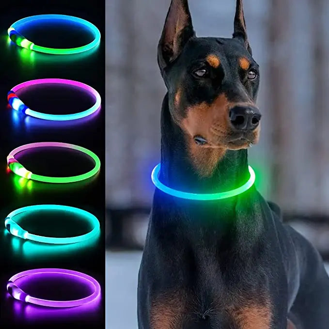 GlowWalk™ Rechargeable LED Dog Collar
